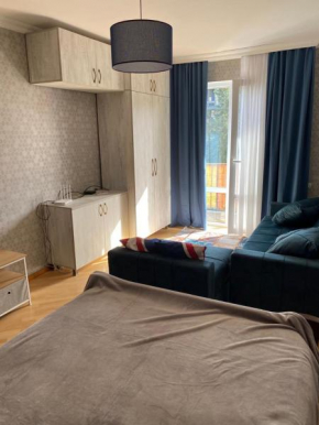 Apartment Beliashvili